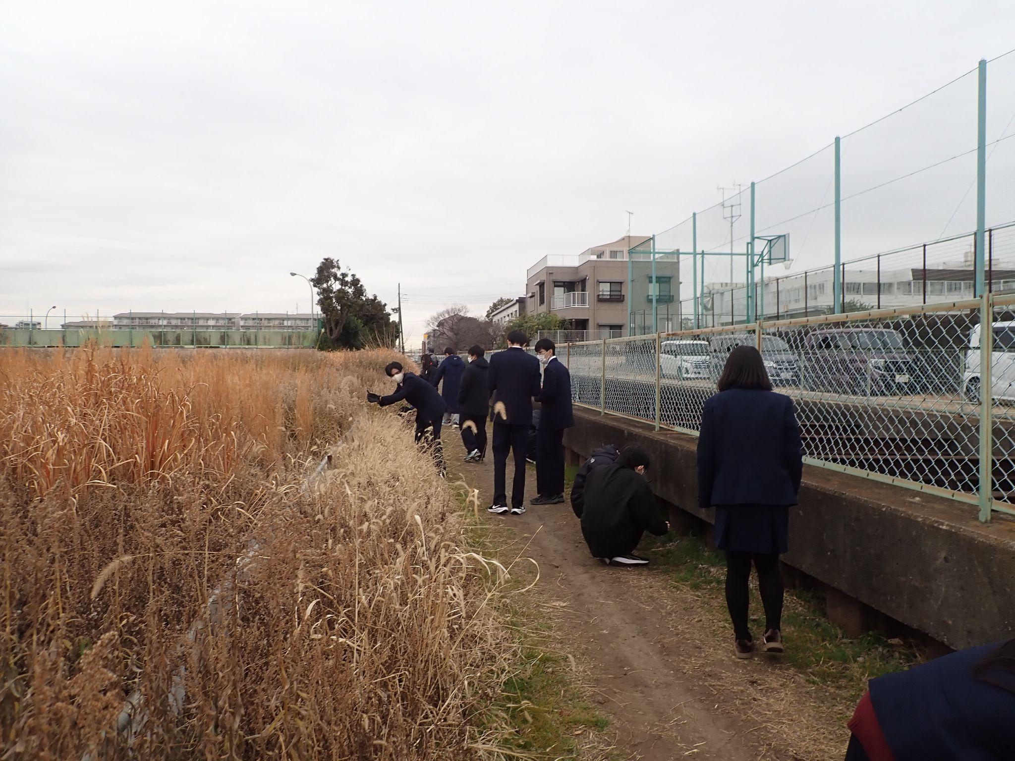 座間高校クラウドサイエンス