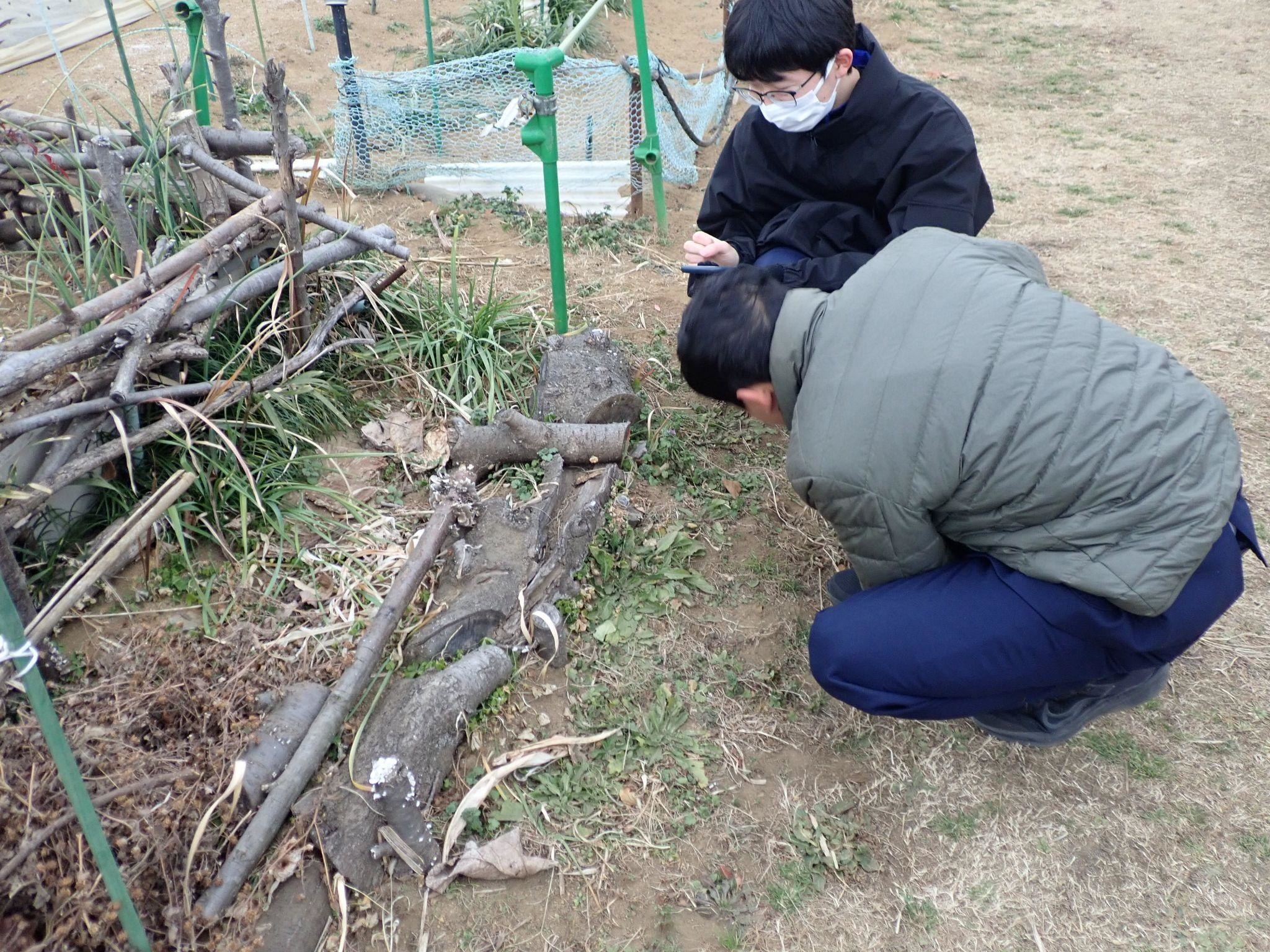 座間高校クラウドサイエンス