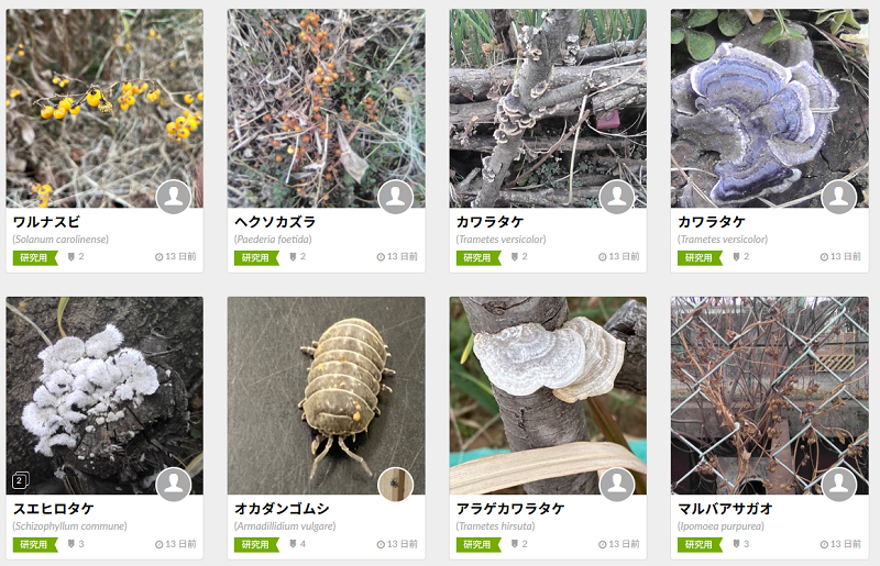 座間高校クラウドサイエンス