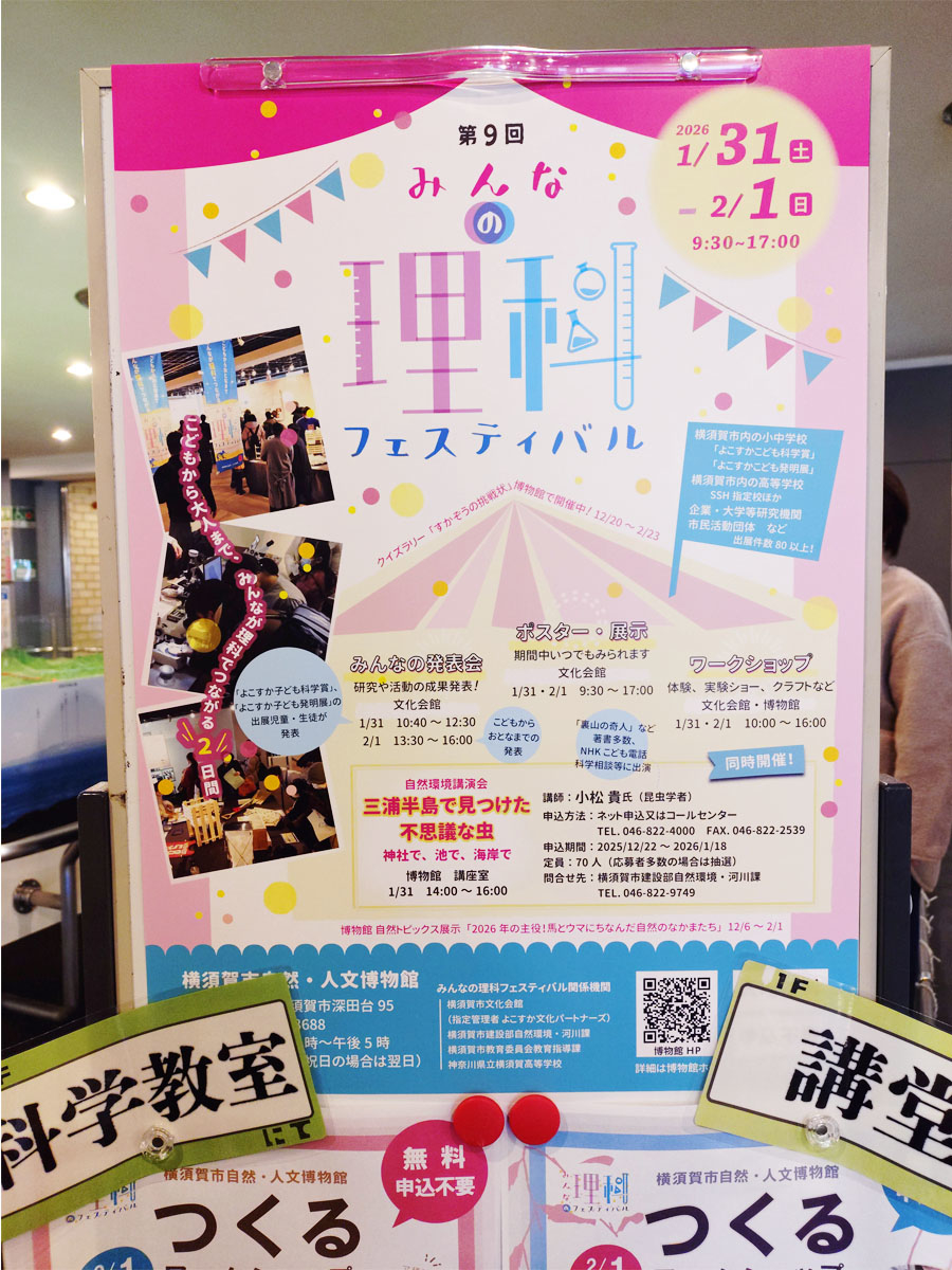 理科フェスティバル