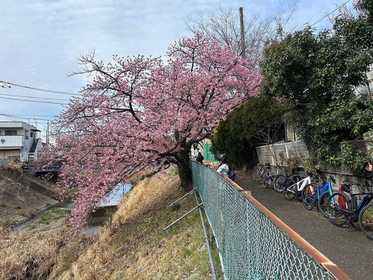 麻布大学とスルガ銀行のサイクルプロジェクト