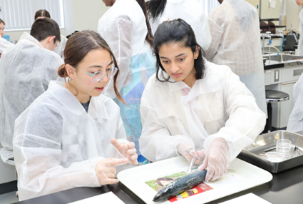 麻布大学におけるオハイオ州立大学(OSU) 海外研修