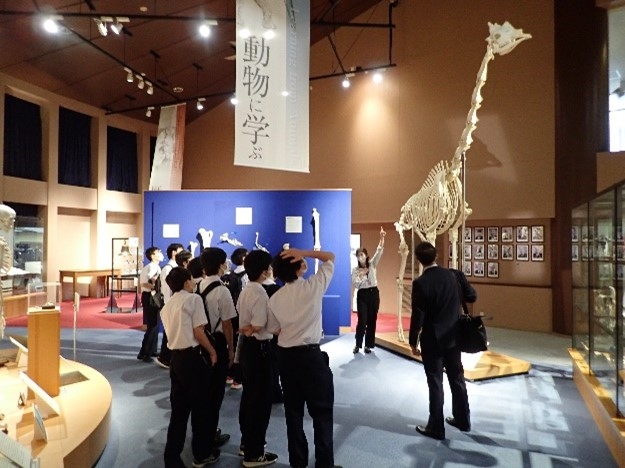 明星中学校生徒さんが麻布大学を訪問