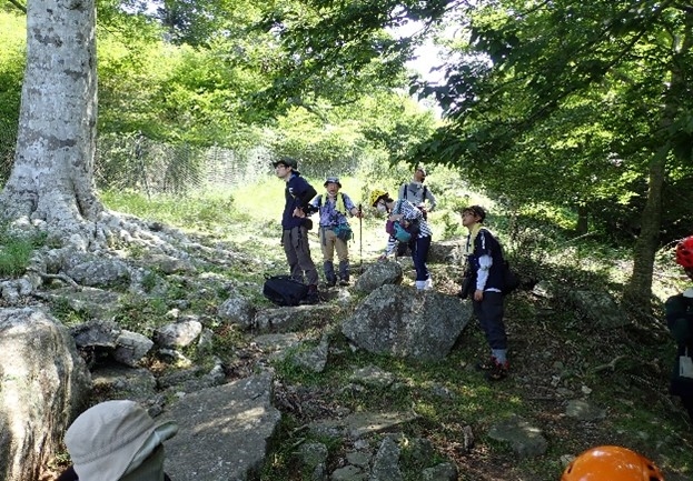 「麻布大学」と「新渡戸文化高等学校」との連携事業「金華山スタディーツアー」