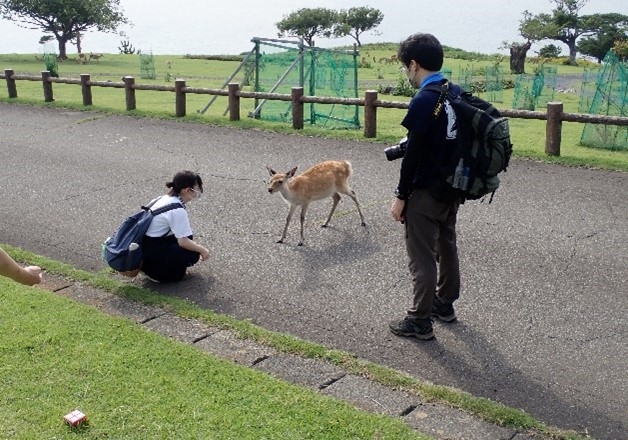 「麻布大学」と「新渡戸文化高等学校」との連携事業「金華山スタディーツアー」