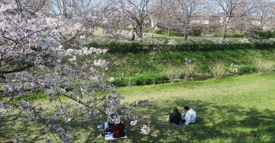 麻布大学が市民参加型ワークショップを開催「スマホ片手に生き物記録」