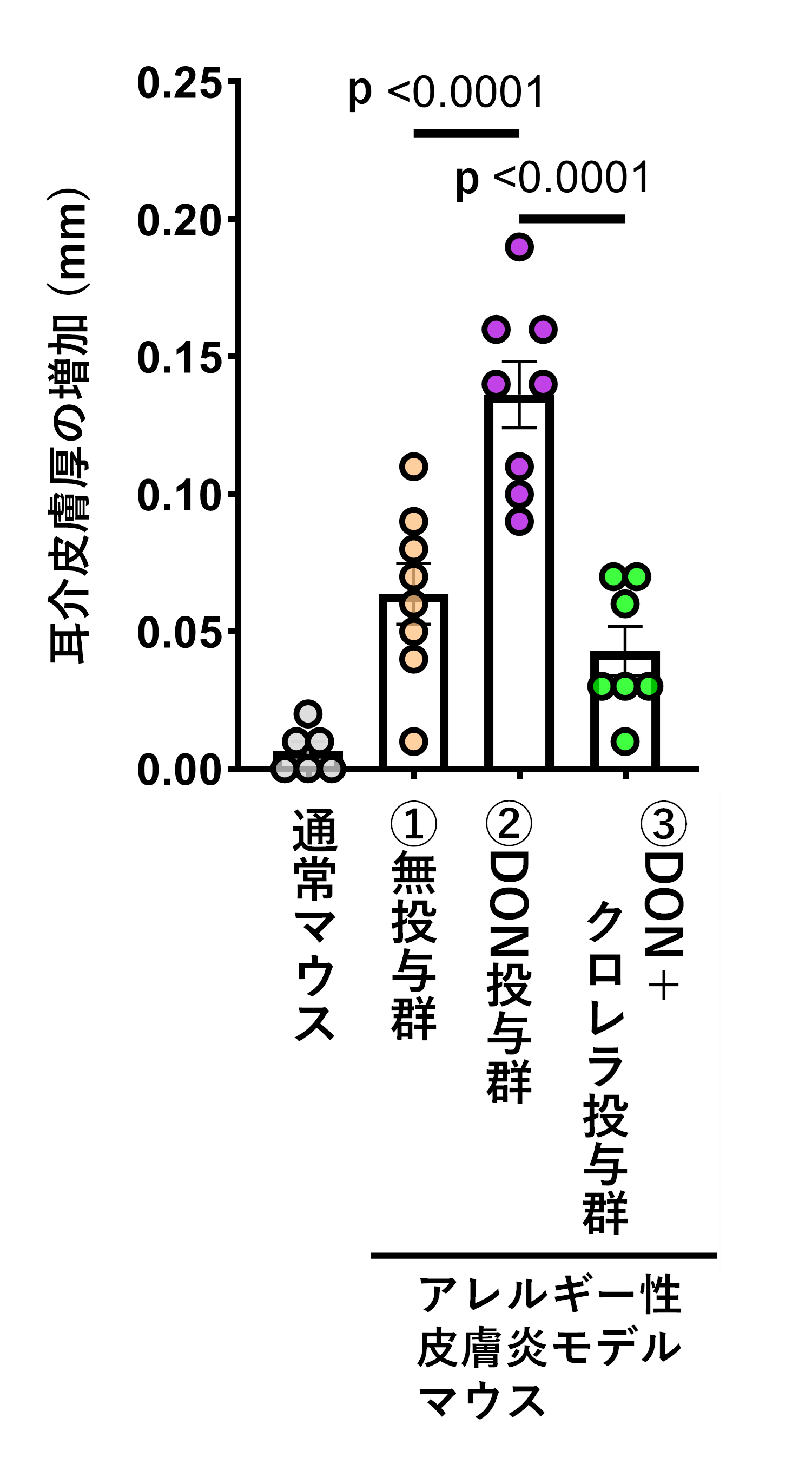 図1:耳介皮膚厚の変化