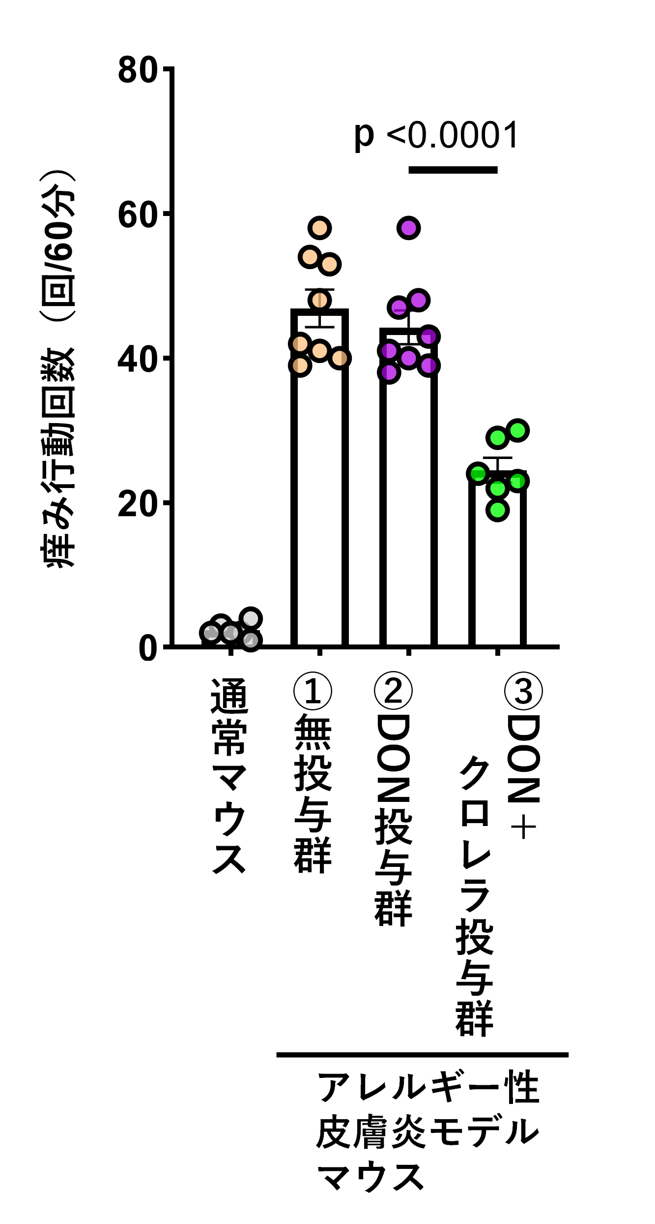 図1:耳介皮膚厚の変化