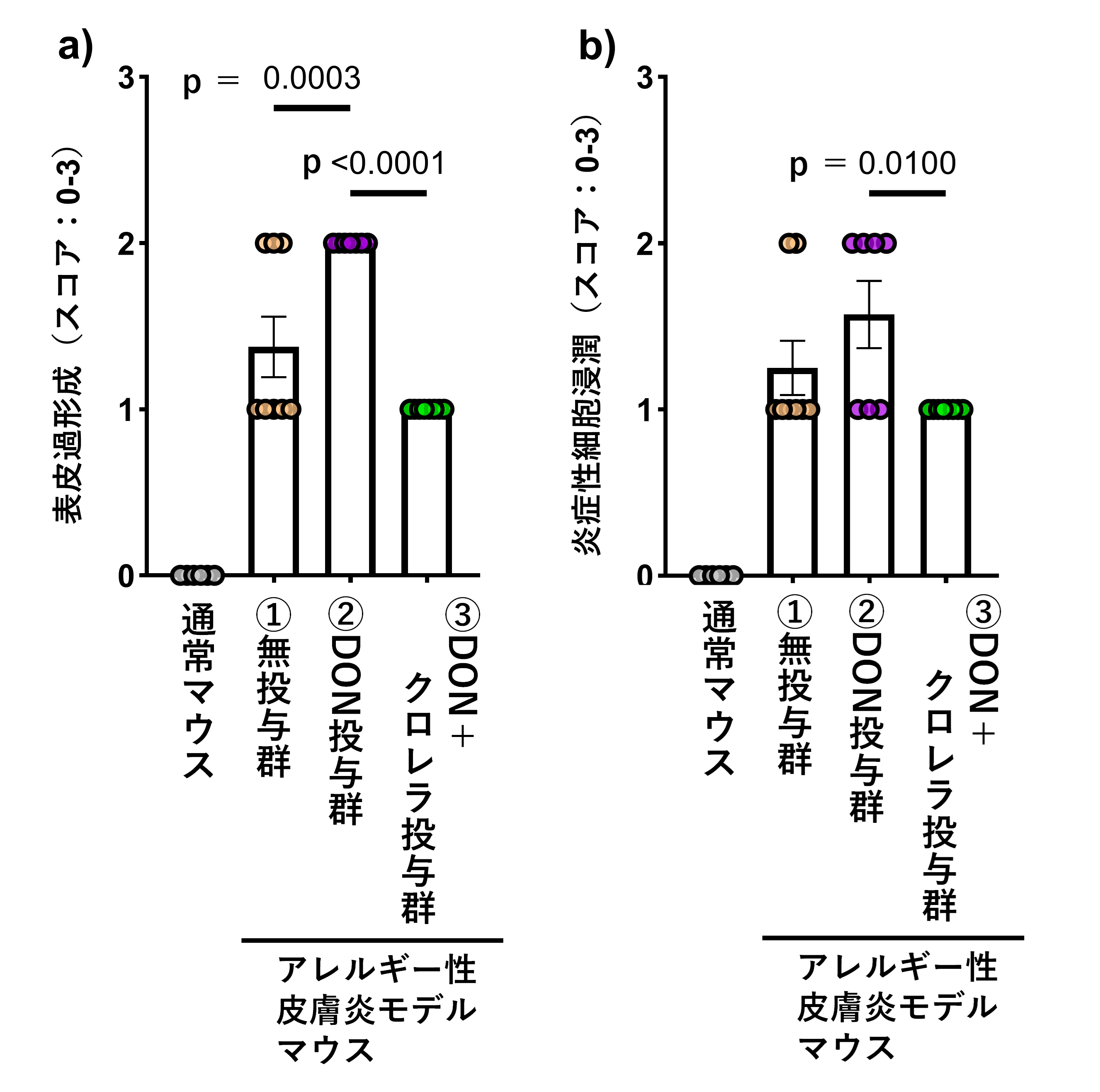 図1:耳介皮膚厚の変化