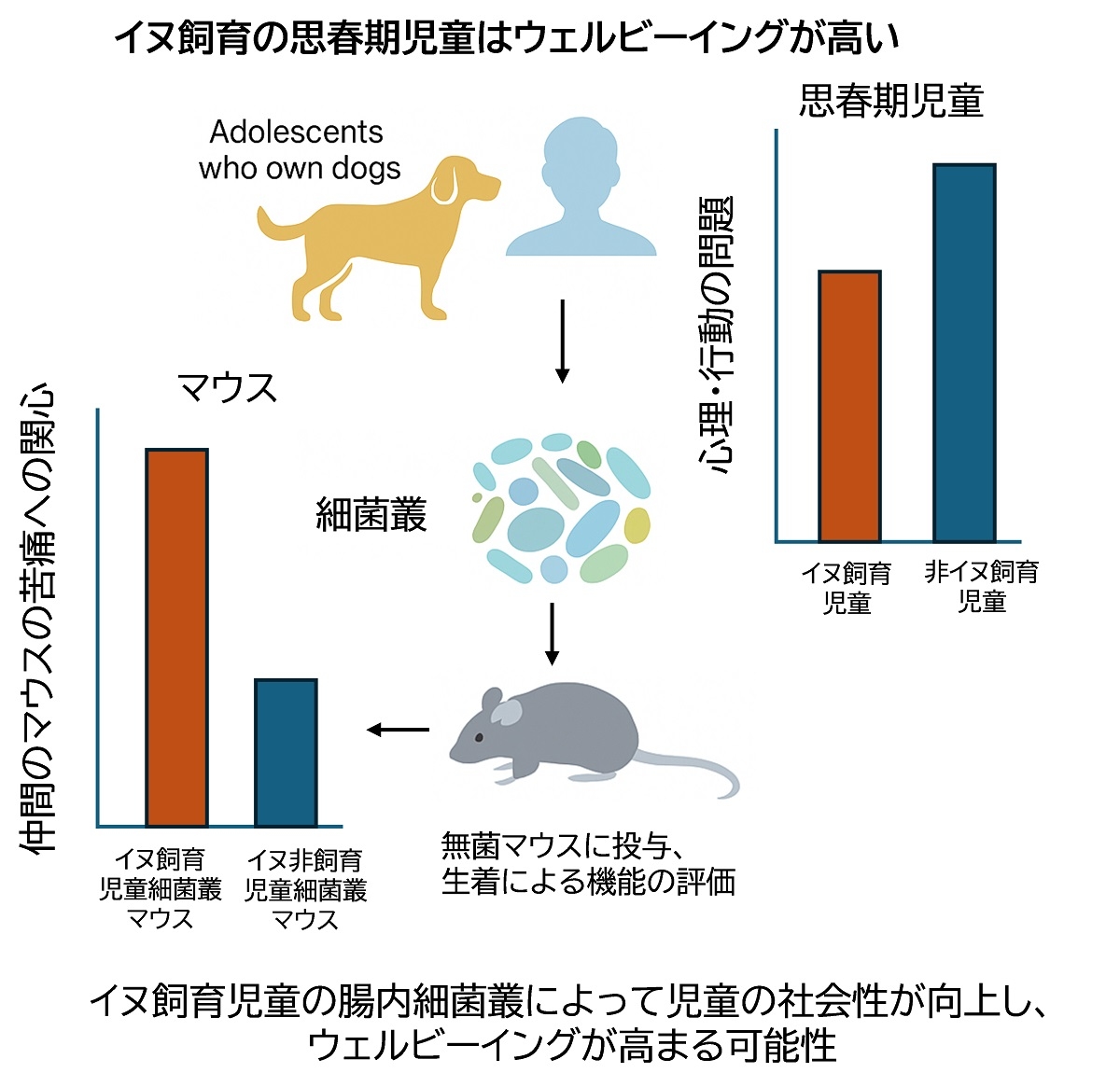 イヌ飼育の思春期はウェルビーングが高い