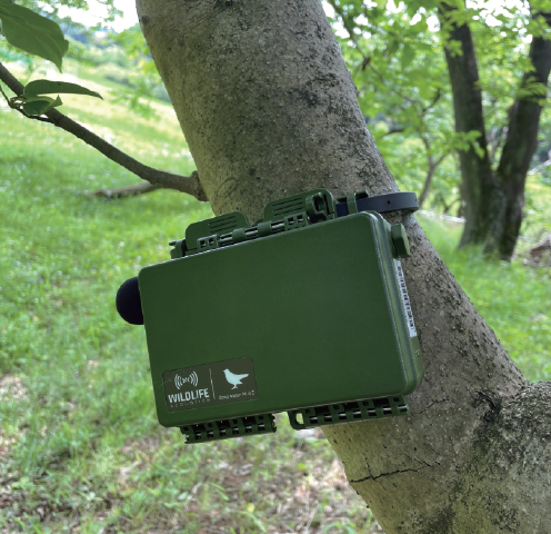 プレスリリース