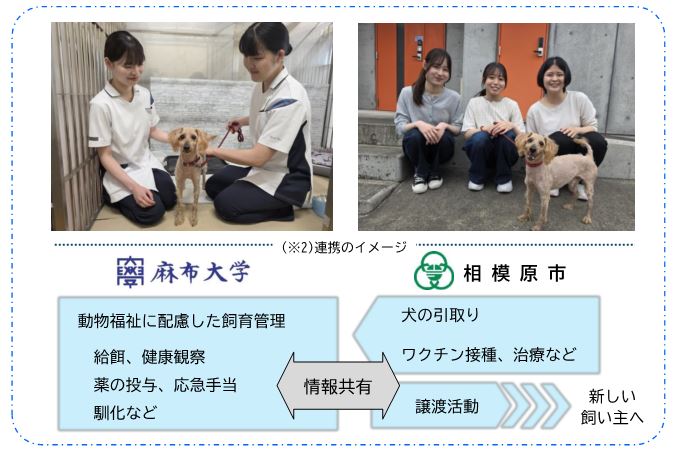 相模原市動物愛護センター基本計画の策定と新たな取組