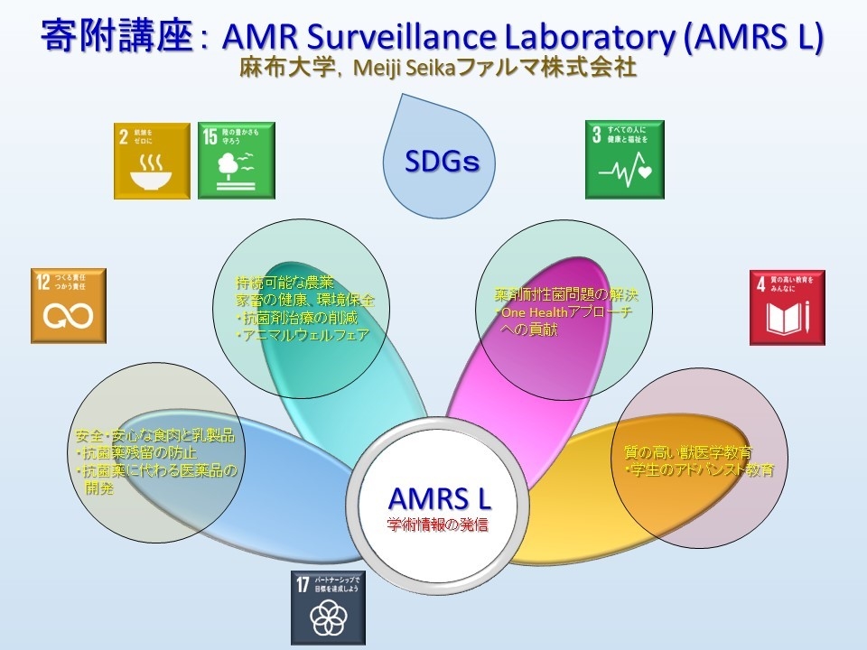 麻布大学、寄附講座：AMR Surveillance Laboratoryを開設 Meiji Seika ファルマの協力により、家畜の薬剤耐性（AMR）を調査・研究を強化