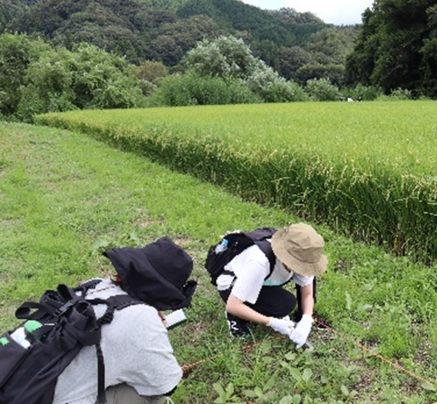 生物多様性を体験的に学ぶフィールドワーク