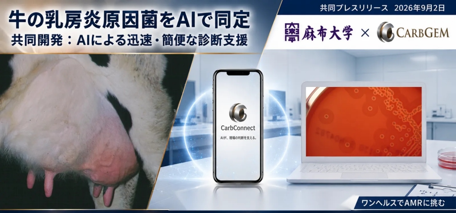 経験によらず牛乳房炎の原因菌を同定する AIシステムを共同開発