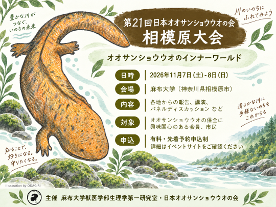 第21回日本オオサンショウウオの会 相模原大会」 を麻布大学で開催
