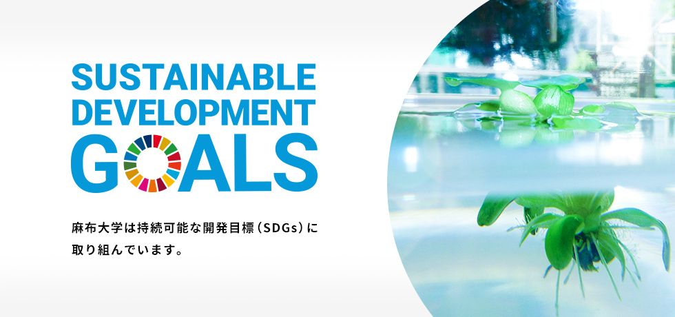 環境科学科SDGs
