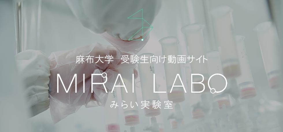 MIRAI LABO