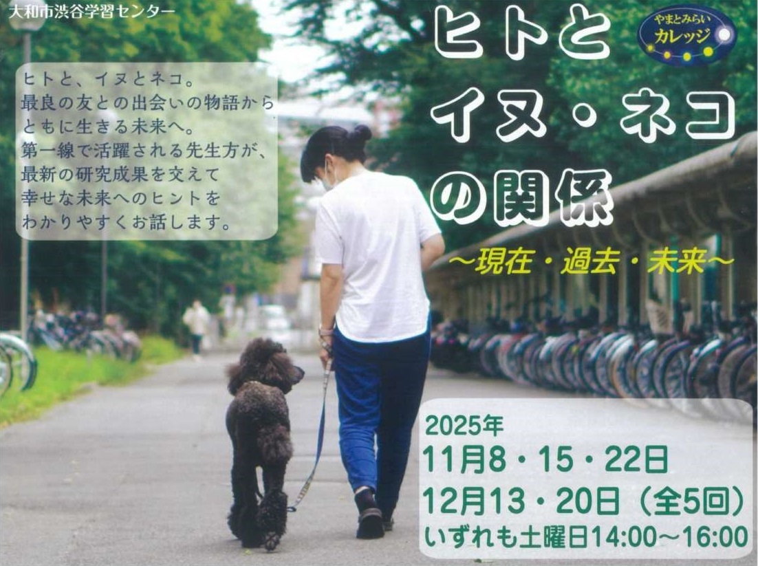 大和市主催イベント