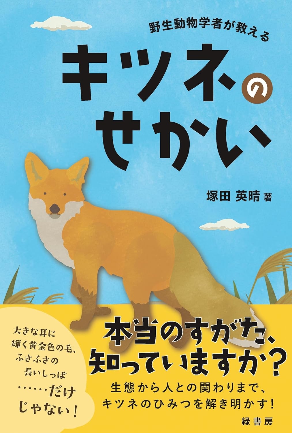 塚田教授著「野生動物のロードキル」