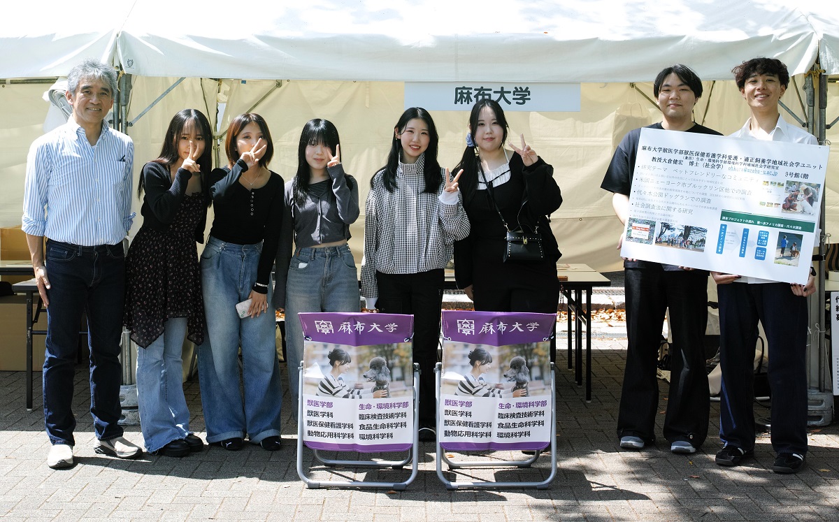 代々木調査わんわんカーニバル