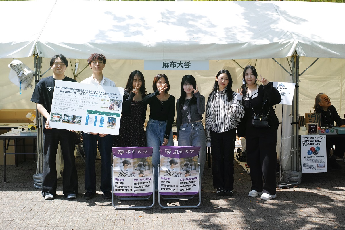 代々木調査わんわんカーニバル