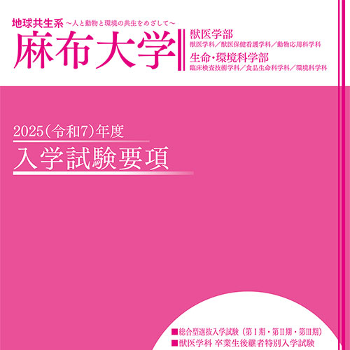 入試要項（学部）