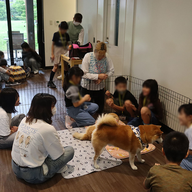 子ども科学探検隊「ペットとのふれ合いによる情操教育」