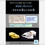 麻布大学いのちの博物館「夏休み子ども教室」開催のお知らせ