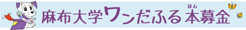 ワンだふる本募金